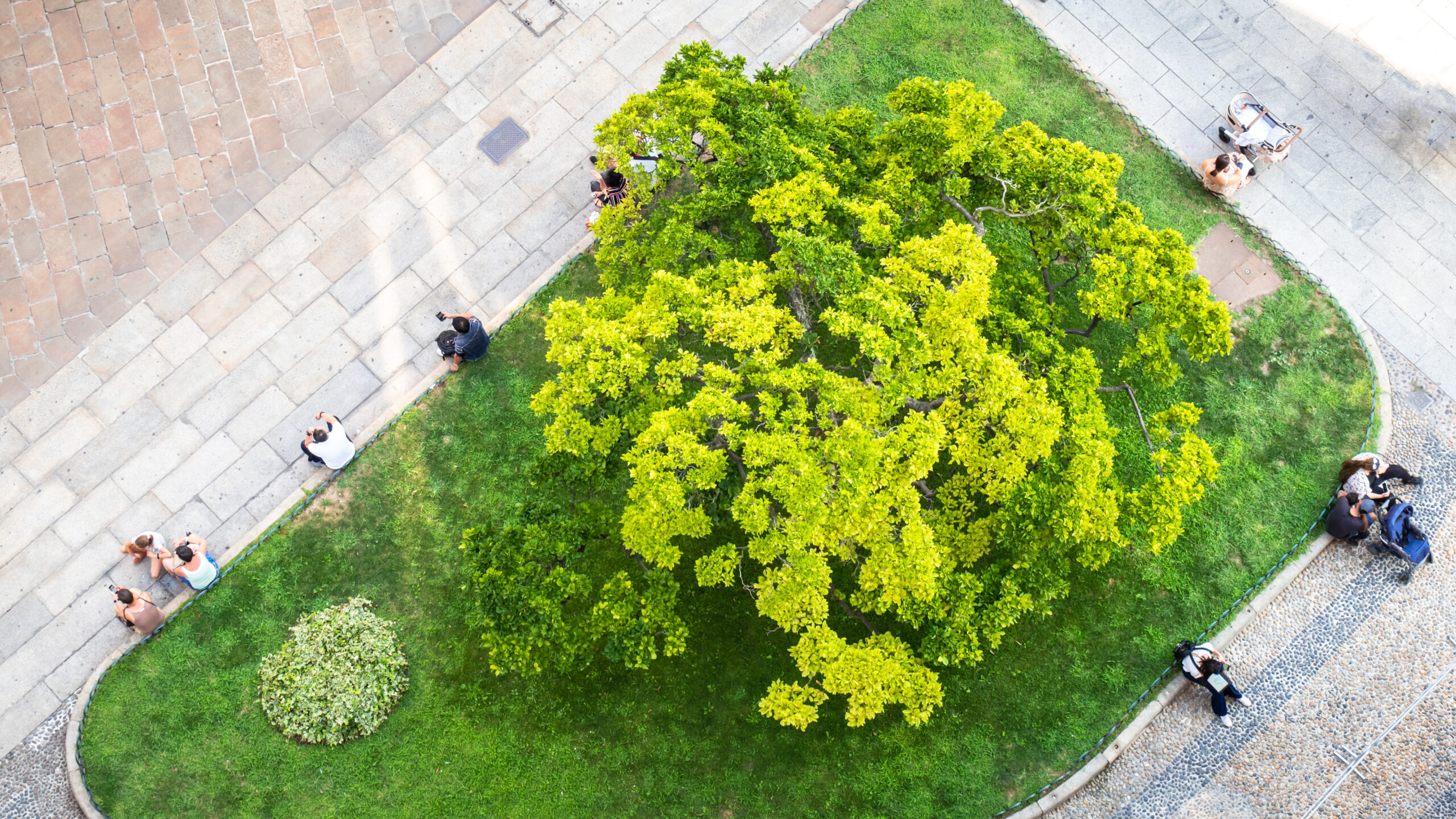 Some people from above sitting at a small city park green (Photo: magann - stock.adobe.com)